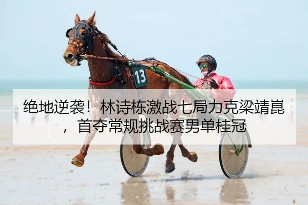 绝地逆袭！林诗栋激战七局力克梁靖崑，首夺常规挑战赛男单桂冠